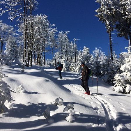 Chata Rozhlas Železná Ruda エクステリア 写真
